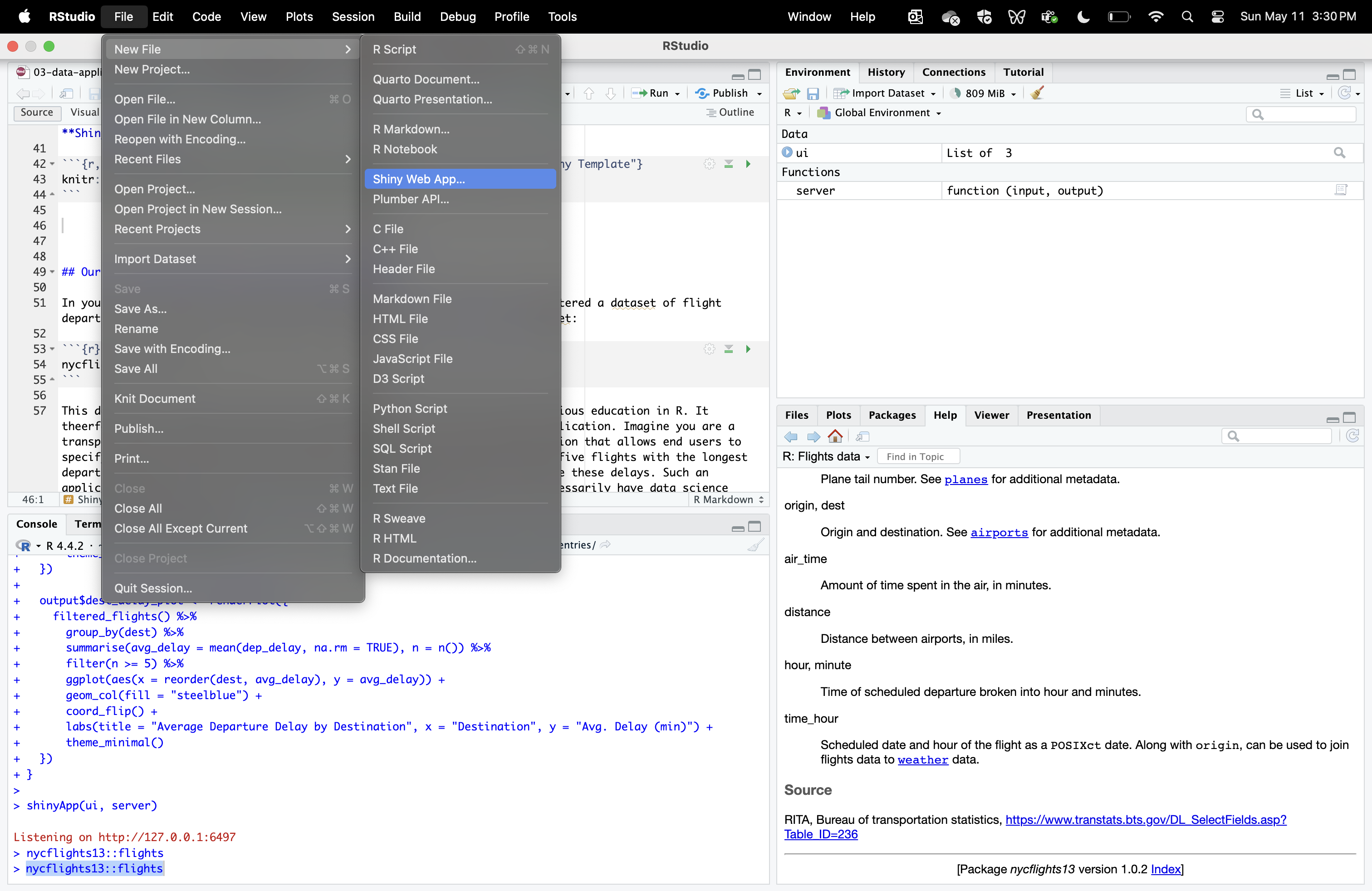 Figure 33. Accessing the Shiny Template